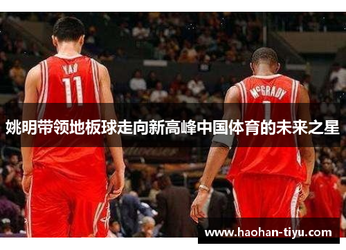 姚明带领地板球走向新高峰中国体育的未来之星
